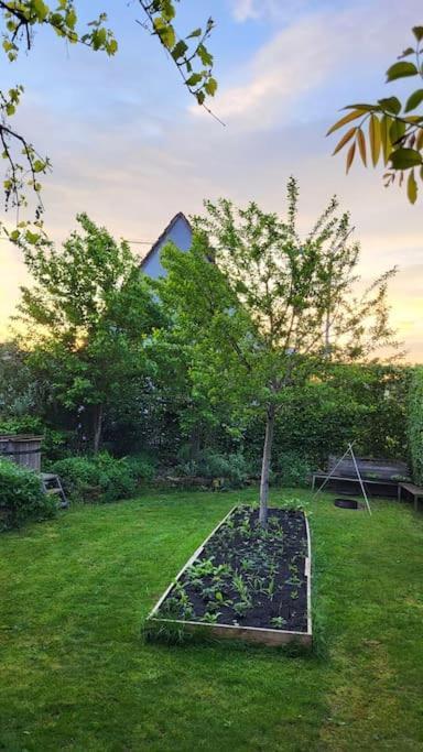 Gute Lage, 3 Raeder, Gruen, Familien Apartment Trier Bagian luar foto
